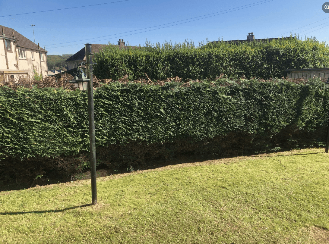 Garden maintenance and landscaping work