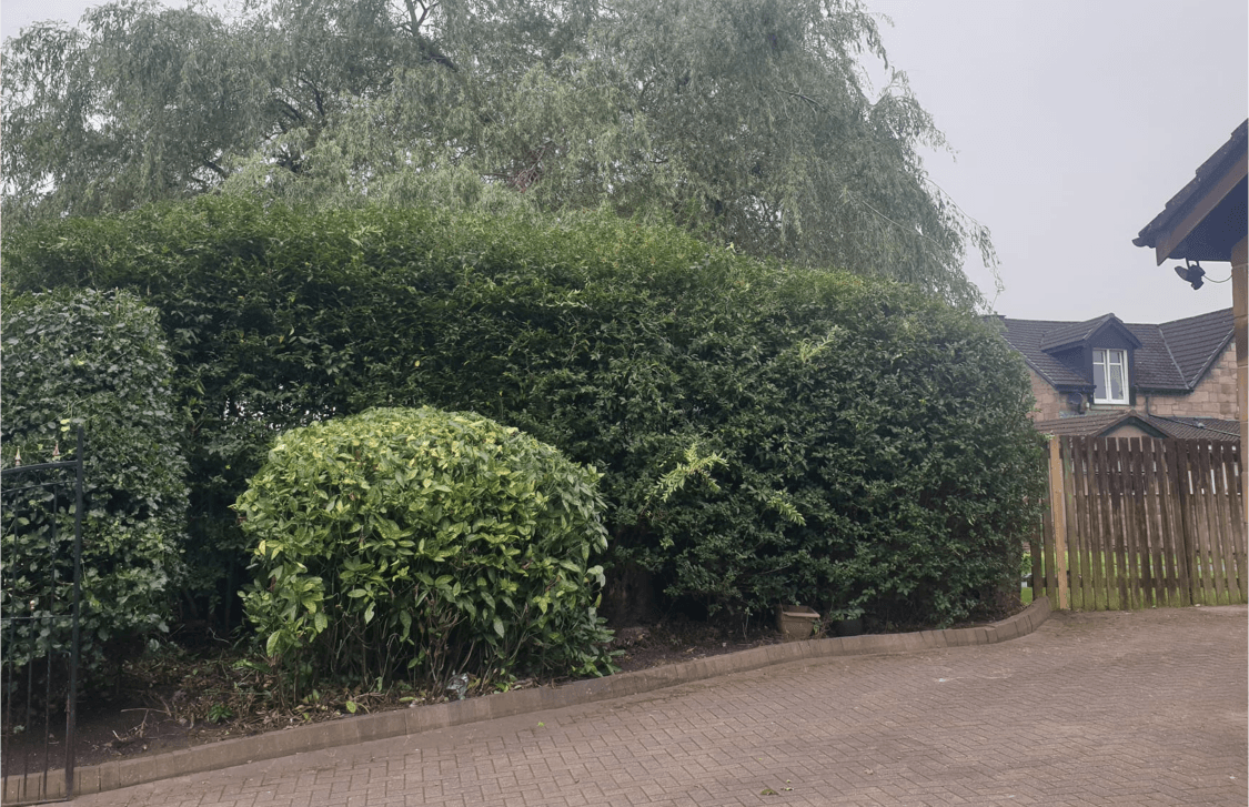 Garden maintenance and landscaping work