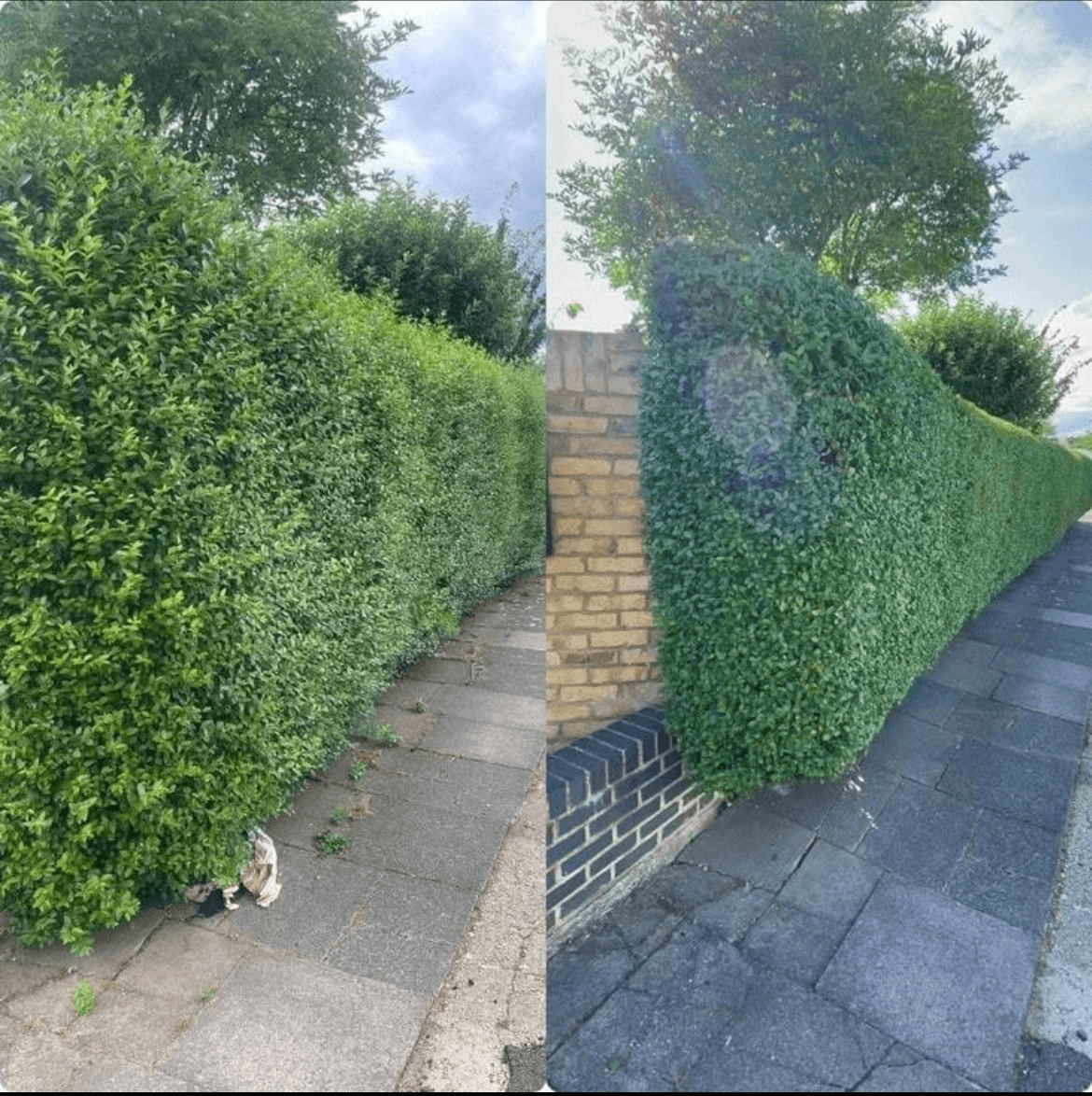 Garden maintenance and landscaping work