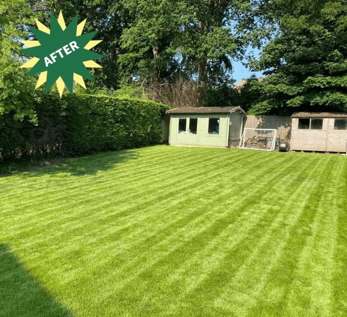Garden tidy up services in Yorkshire