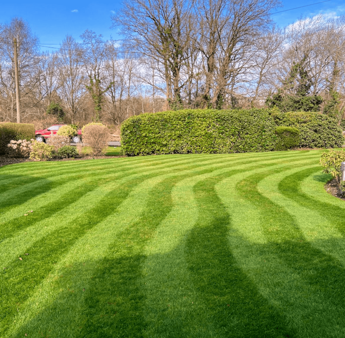 Garden tidy up services in Yorkshire
