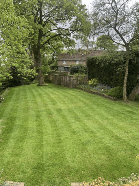 Garden Tidy Ups