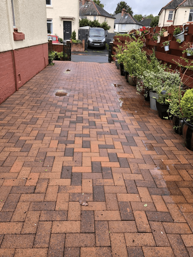 Professional landscaping transformation